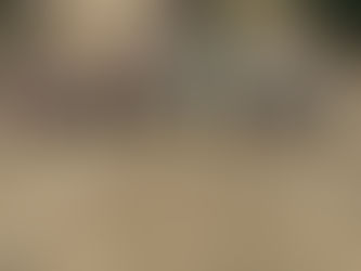 マウントエデン デビュー