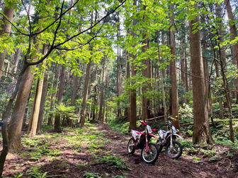 滋賀北部さわやか林道
