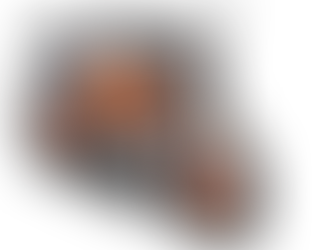 ご予約受付中! 1290 SUPER DUKE R EVO