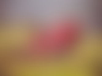 9月4日(日曜日)店休日のお知らせ