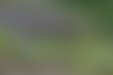 臨時休業日のお知らせ