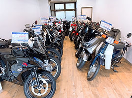 image1 (21).jpeg