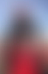 1/22まで!先着50名限定!お得なキャッシュバック情報!