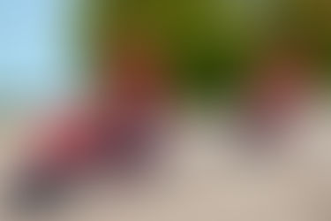 GW休暇のお知らせ