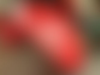 これからやってくる梅雨にレーシーな傘を!