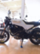 image1 (45).jpeg
