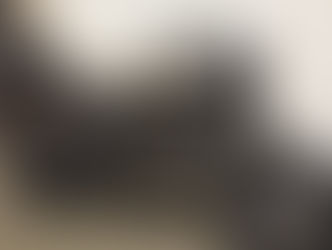 SVARTPILEN701 STYLE 試乗車あります!