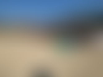 オフロードチャレンジ参加してきました!