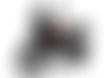 2024 890 ADVENTURE!!