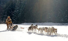 winters-1970037.jpg
