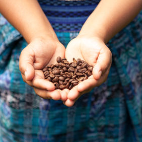 Coffee Beans