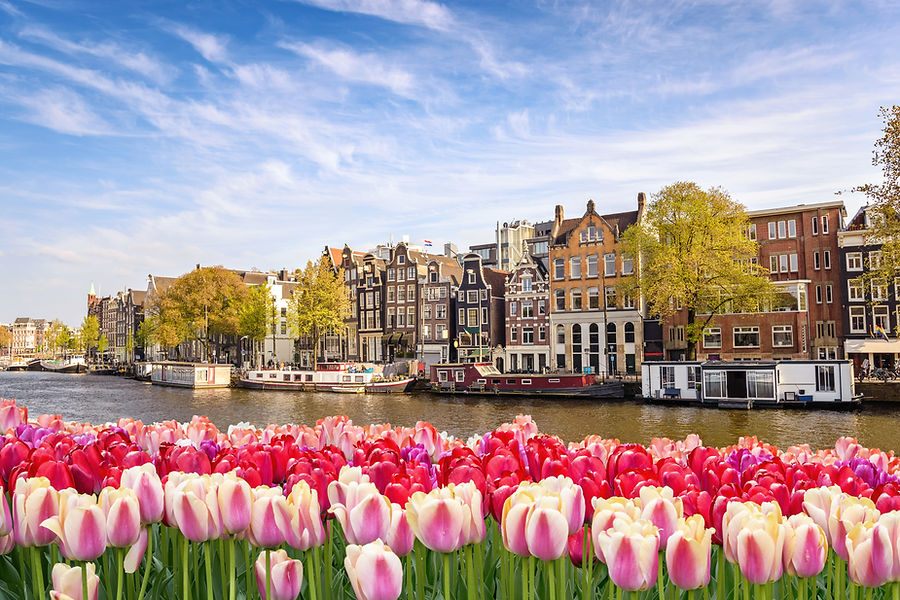 shutterstock_1017832351.jpg