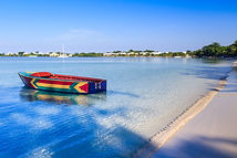 shutterstock_492947968 (1).jpg