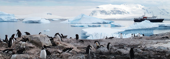 antarctica-940554.jpg