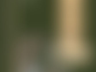 Hiểu Người Để Dùng Người