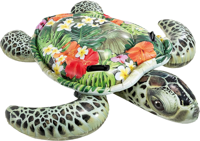 Pooltiere Wasserschildkröte für Sommerparty