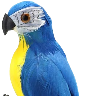 Kleiner Papagei Schulter Kostüm Vogel