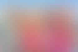 Cowboy Barbie Ken Karneval Gruppenkostüm