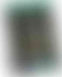  Tagesabreißkalender zum Aufstellen/Aufhängen