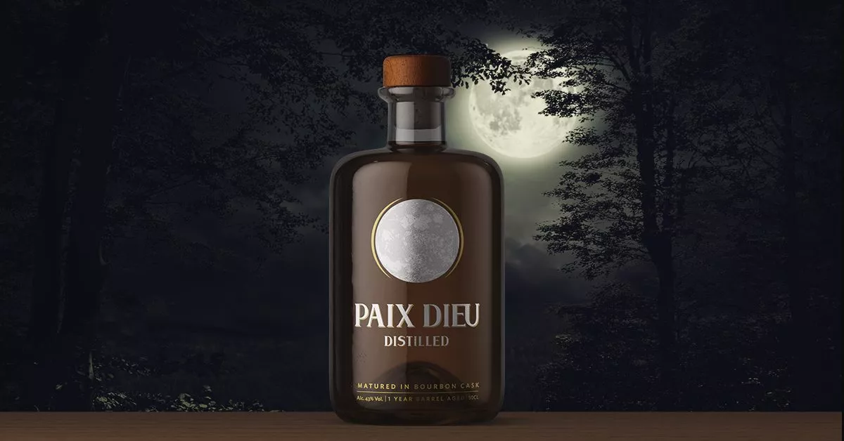 visu-fb-distilled21.webp