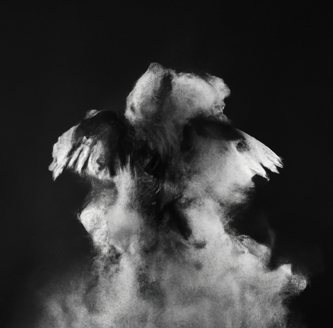 DALL·E 2022-12-11 10.27.23 - photographie studio noir et blanc d'un corps abstrait de créa