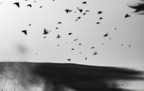 DALL·E 2022-11-27 20.44.55 - oiseaux qui brûle en poussière dans le vent dans les tons gri