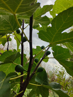 IMG20220918185133.jpg