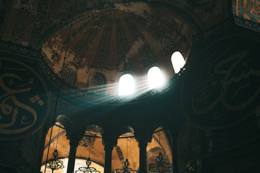pexels-roman-odintsov-5327974.jpg