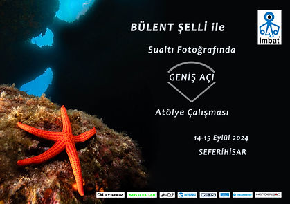 Seferihisar Geniş Açı Atölye Çalışması 2024.jpg