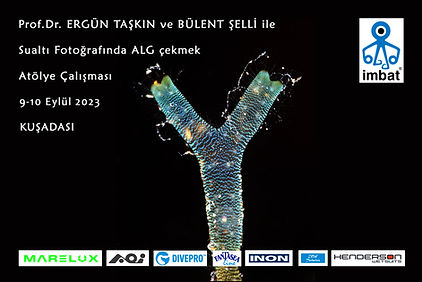Kuşadası Alg Çekmek Atölye Çalışması 2023.jpg