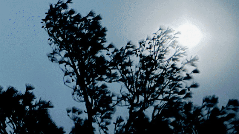 ezgif-1868308873b3be.gif