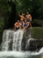 Jungle Excursions