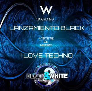 Black love Techno at W hotel, July 13