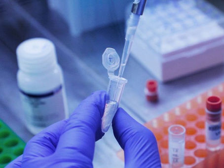 Todos os 14 passageiros que desembarcaram na Holanda com a Ômicron eram vacinados