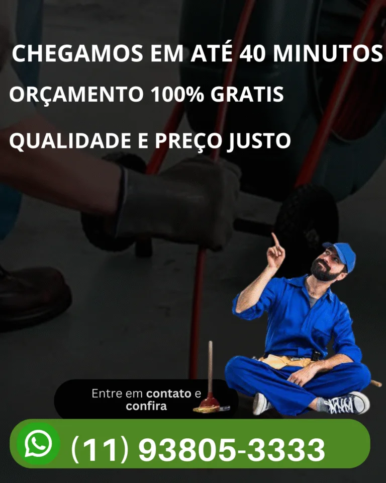 dedetizadora e desentupidora 24h
