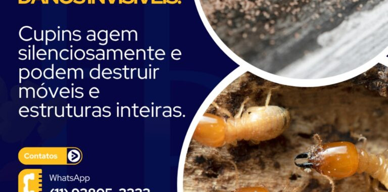 dedetizadora e desentupidora 24h
