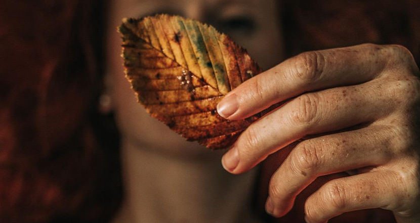 WhatsApp Image 2026-01-12 at 11.51.29 (11).jpeg