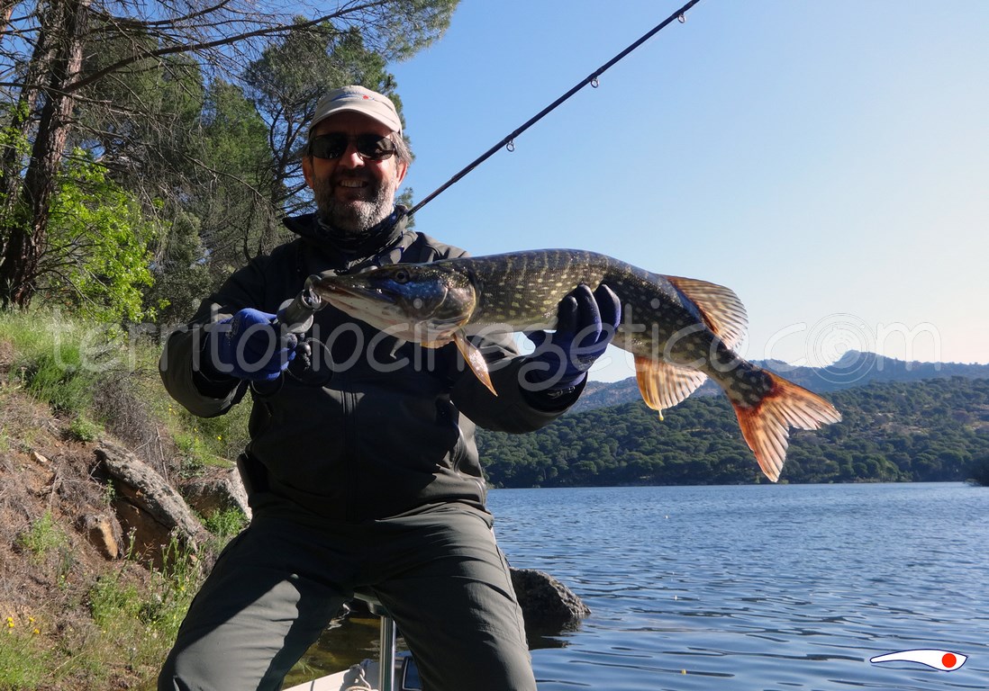 Ángel de Madrid-Fishing
