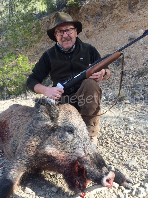 Balta con un bonito navajero