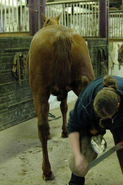 FB_IMG_1460843527292