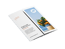 gate fold brochure