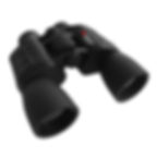 Braun No. 20166 10x50 binocular.