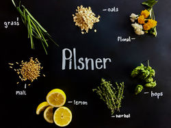 Pilsner Photo
