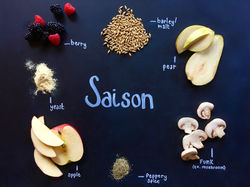 Saison Photo 1
