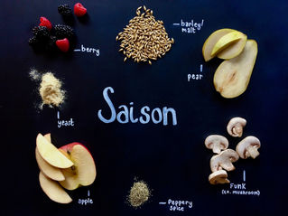 Back to Basics Beer Series - Saisons