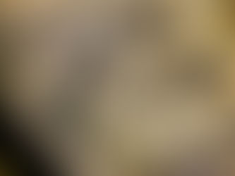 هل الإنسان في تلك الحقبة الزمنية، كان متذوقا للفن، مدركا للبعد الجمالي والتعبيري من خلال تلك الرسومات التصويرية، أم أنه كان يوثق أحداث وملاحم ويروي تاريخه؟