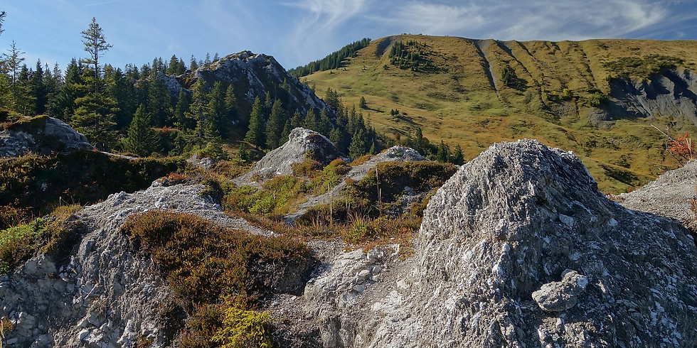 1 AUGUST GOURMET HIKE