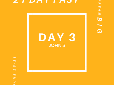 21 Day Fast::Day 3