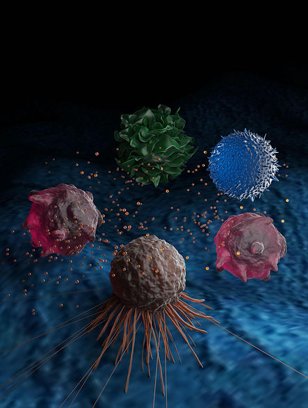 exosomes f.jpg