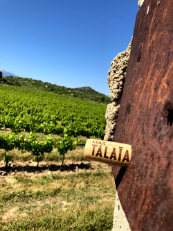 Mas Talaïa